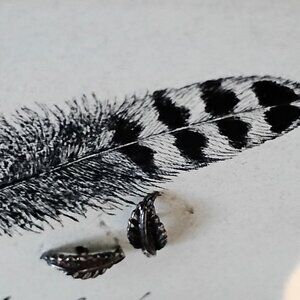 Dainty Pewter Feather Carved Earrings